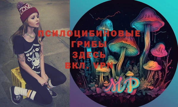 Альфа ПВП Алзамай